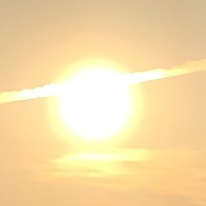 Meet your Posher, Devon